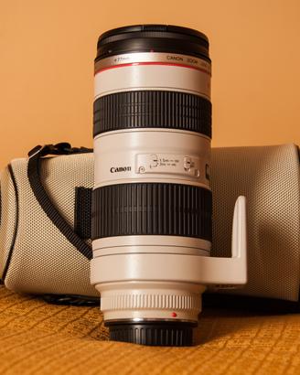 Canon EF 70-200mm f/2.8L USM