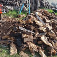 legna da ardere spaccata  di ulivo