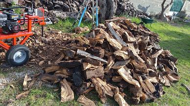 legna da ardere spaccata  di ulivo