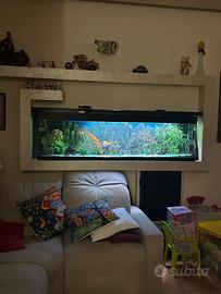 Acquario completo 170 × 50 × 25 cm – €200 🐠