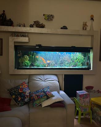 Acquario completo 170 × 50 × 25 cm – €200 🐠