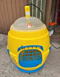 allevatrice novital pulcini