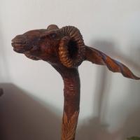 Bastone da passeggio/collezione