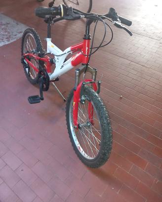 bicicletta 