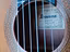Immagine 4