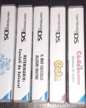 Schedine Nintendo DS