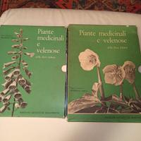 piante medicinali e velenose della flora italiana