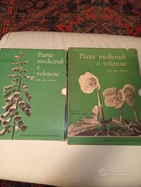piante medicinali e velenose della flora italiana
