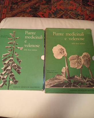 piante medicinali e velenose della flora italiana