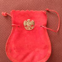 Scudetto argento "Lancieri di Aosta"