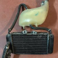 Radiatore vaschetta piaggio nrg