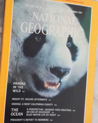 Annata 1981 completa NationalGeographicMagazine