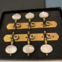 Meccaniche per chitarra classica Rodgers