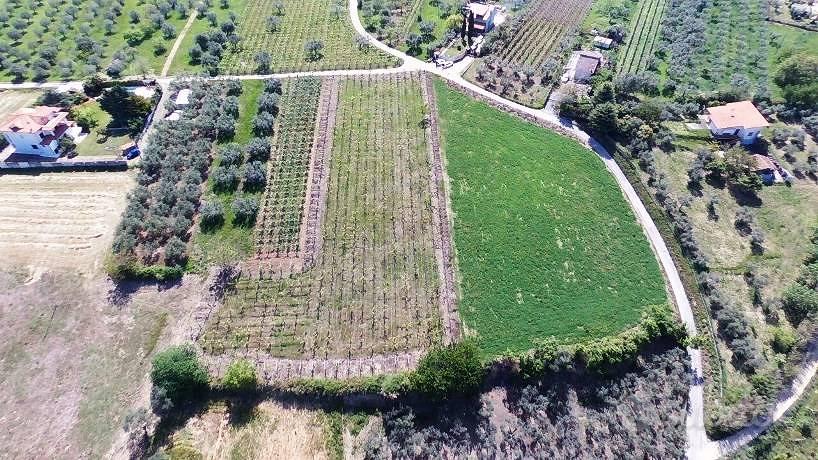 Terreno di 21740 m² a Ortona - Altro