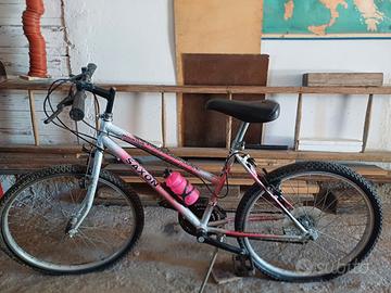 Bicicletta