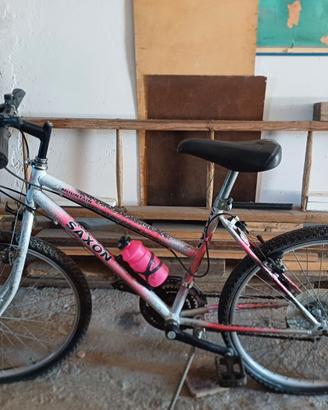 Bicicletta