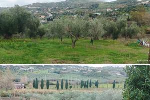 Terreno agricolo10000 mq ad Agropoli zona moio
