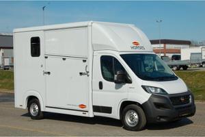 Van Trasporto Cavalli Pat B