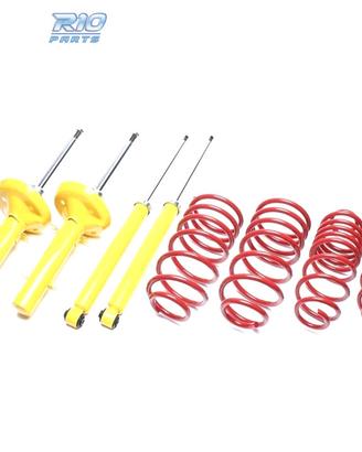 SOSPENSIONE SPORTIVA FORD FOCUS 10 2001-10 2004