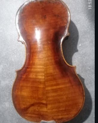 violino