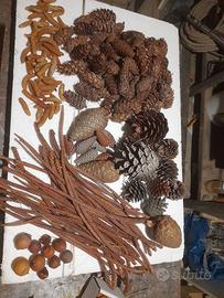 set di pigne per addobbi natalizi 