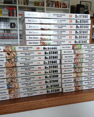 Dr. Stone