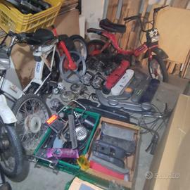 ciao bravo si super bravo boss grillo boxer ricamb