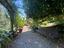 Immagine 16