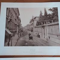 Fratelli Alinari  Firenze