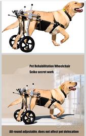 Carrello per cani disabili