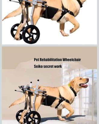 Carrello per cani disabili