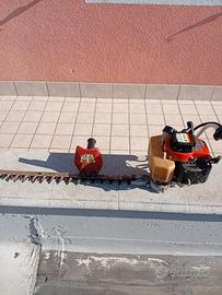 tagliasiepi 