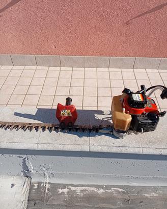 tagliasiepi 