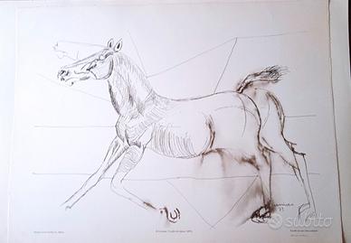 STAMPA BRUNO CASSINARI 1973 CAVALLO CHE NITRISCE
