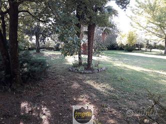 SAN PIER D'IS. Lotto di terreno edificabile T125