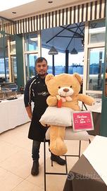 Aiuto Cuoco.lavapiatti