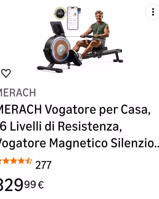 vogatore