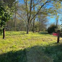 Terreno agricolo a bosco