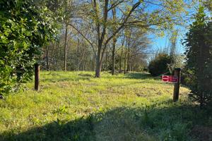 Terreno agricolo a bosco
