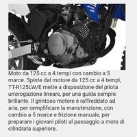 Yamaha TTR 125
