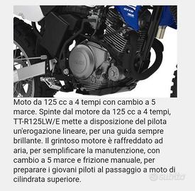 Yamaha TTR 125