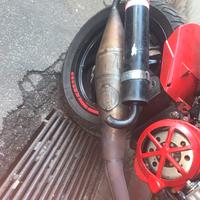 Pancia Athena Sporting x Nrg Power