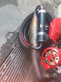 Pancia Athena Sporting x Nrg Power