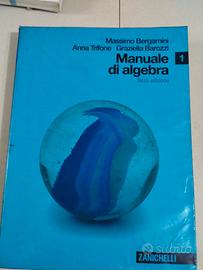 libro scuola manuale algebra Bergamini