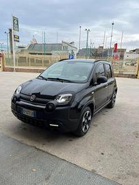 Panda cross