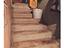 Immagine 13