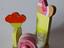 Immagine 3