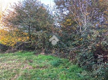 TER. AGRICOLO A FAUGLIA