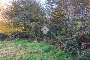 TER. AGRICOLO A FAUGLIA