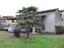 Immagine 5